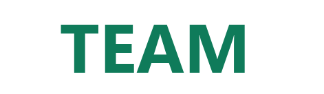 Schriftzug Team